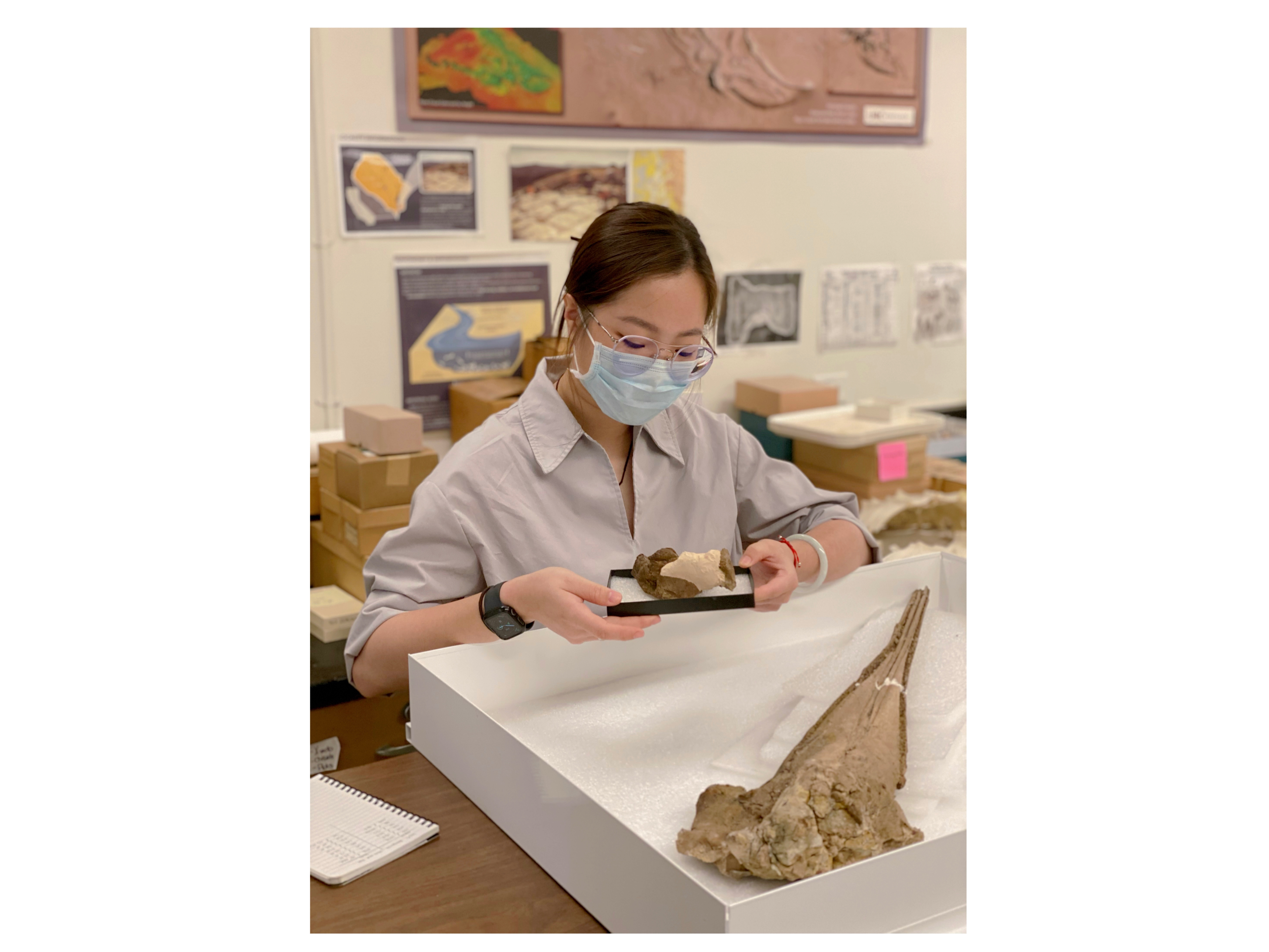 JieQi doing work on a a dolphin fossil